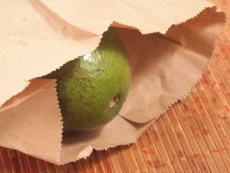 Как правильно выбрать авокадо